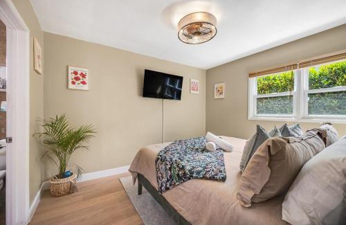 Pacific Beach Apartment | 1BD Heart of PB Pet Friendly Private Sanctuary