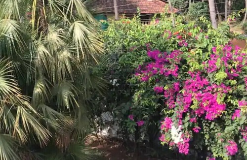 Betalbatim Apartment | 1BHK Luxury Homestay In South Goa.1 km from Beach