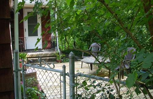 Glen Echo Apartment | 1br Apt. Overlooking Ravine In Clintonville