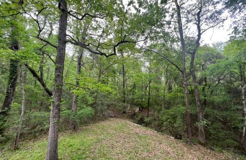 Montgomery House | 2 BDRM Treehouse Hideout- Lake Conroe with Boat ramp