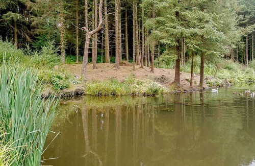 Honiton Cabin | 2 bedroom accommodation in Honiton