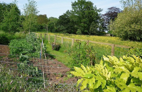 Dunster Cottage | 2 bedroom accommodation in Dunster, near Minehead