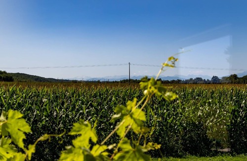 Sauviac House | 2-bedroom house with AC and WiFi in peaceful Sauviac with view over the Pyrénées