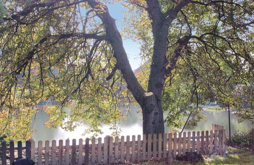 Dolitz House | 2 bedroom nice home in Gnoien OT Dölitz