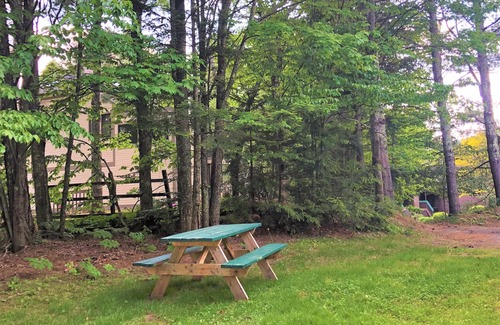 Waterville Valley Apartment | 2 Bedroom Sleeps 6, Walk to Town Sq. Pet Friendly Waterville Valley