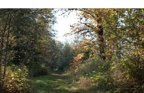 Sardis Cabin | #2 Eco Retreat Cabin! Fish/Bring Horses/ATV/Kayak!