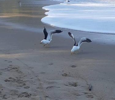 Estufa II Apartment | 2- Home Resort em Ubatuba SP, Apartamento novo, aconchegante com piscina