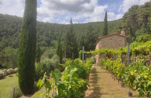 Buti House | 2 houses with private pool 20km from Pisa, Lucca and 30 from the sea