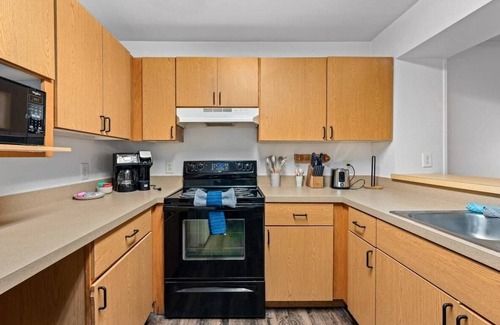 Bearss Plaza Apartment | 2 MI to USF Student Housing 24H Gym