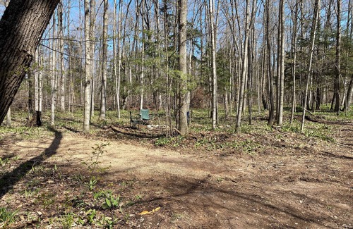 Beulah RV Rental | #2 Private Wooded Campsite for Tents or Small RV's