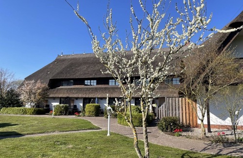 Sagard Apartment | 2-room apartment/No. 21 - 3* Appartementhotel Mare Balticum GmbH & Co KG