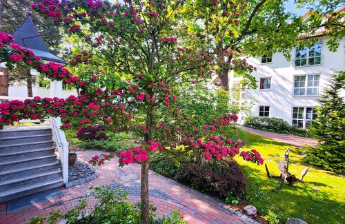 Binz Apartment | 2 Room D 006 - Wohnpark Binz (with indoor pool)