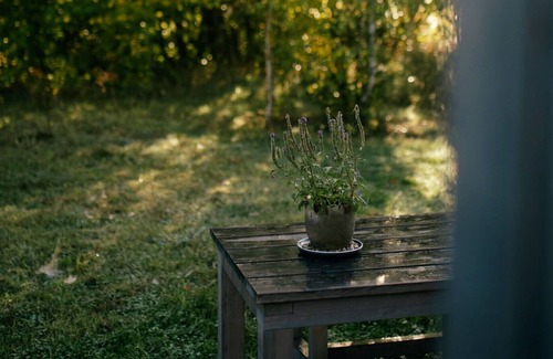 Schleiden Cabin | 2-seater Cabin - Cozy (II) - Neugrad