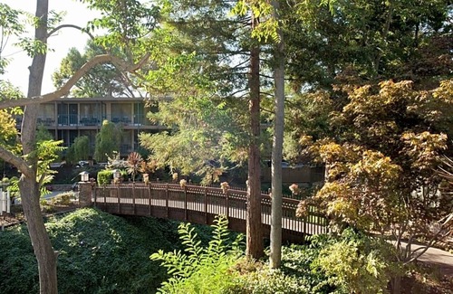 Barron Park Hotel | 2 Spacious Unit with Heated Pool, Free Breakfast & Parking Near Stanford