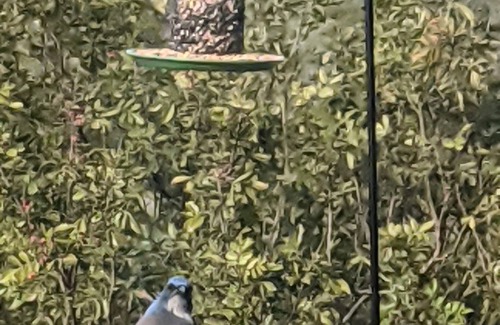 Spring Branch Cottage | 2-story hillside home on 4 acres w/2 deck overlooks & 'million dollar' views