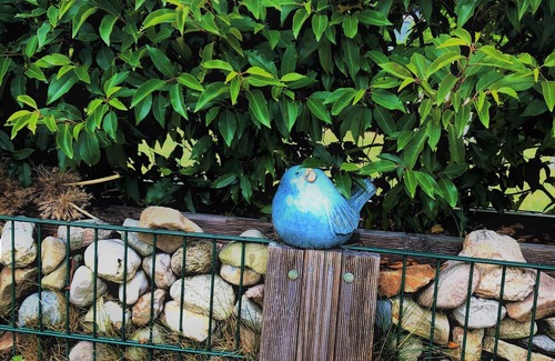 Gelbensande Apartment | 2-zimmer-ferienwohnung für 5 Pers. mit Wlan