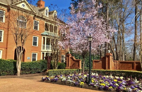 Williamsburg Villa | 2BR 2BA Spacious, Well Appointed Villa at Marriott's Manor Club (sleeps 6)