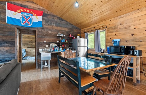 Leadville North House | 2BR Rustic Cabin - Private Oasis, Mountain View