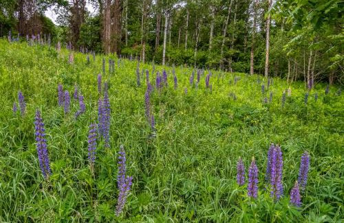 Whitefield House | 2nd Floor - Adventure Property