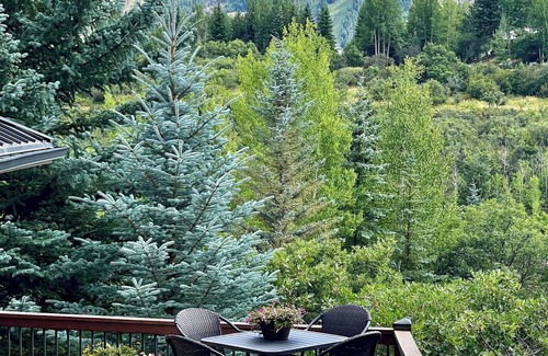 Red Mountain House | 3,000 Sq ft. 8MM Red Mtn Home 3bd, 3 bath Sleeps 10 Jacuzzi VIEWS 3 min to town