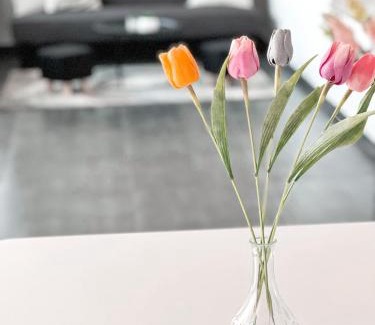 Lahovice Apartment | 3 Apartments in 1 location