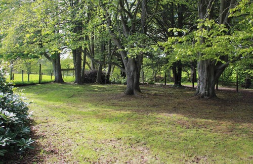 Invergordon Cottage | 3 bedroom accommodation in Tarbat, Invergordon