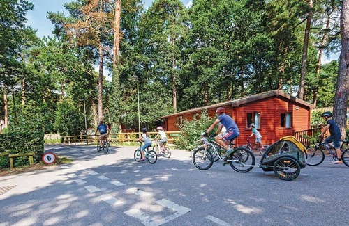 New Forest District House | 3 bedroom accommodation in Godshill, Fordingbridge
