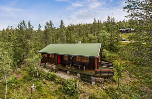 Fla Municipality House | 3 bedroom amazing home in Eggedal