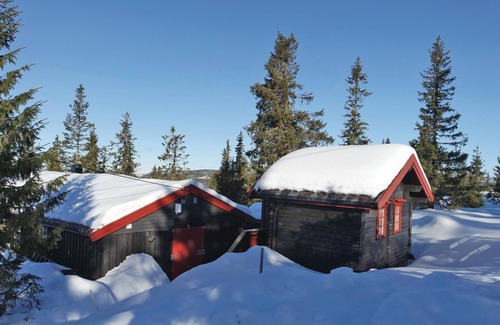 Sjusjoen House | 3 bedroom cozy home in Sjusjøen