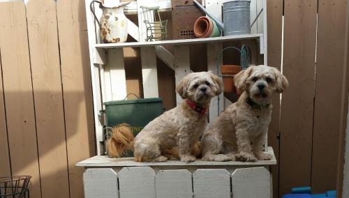 Albrightsville House | 3 bedroom Rental pet friendly, fireplace, hot tub, near ski resorts