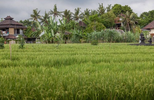 Batubelig Villa | 3 Bedroom Seminyak Private Pool Villa