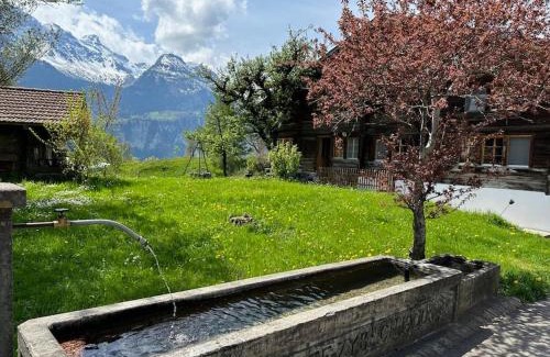 Meiringen Apartment | 3-Bedrooms Apartment in a Chalet