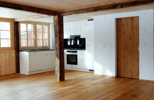 Meiringen Apartment | 3-Bedrooms Apartment in a Chalet