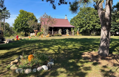 Friendship Cabin | 3 BR Cabin on 80 Acres with Hiking, ATV, Horse Trails WiFi, AC, Fishing Pond