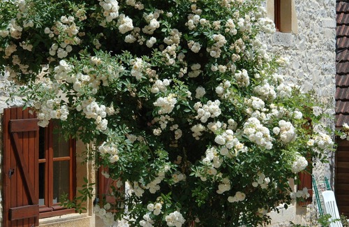 Degagnac House | 3 luxury holiday homes with swimming pool on a small estate in Dordogne / Lot