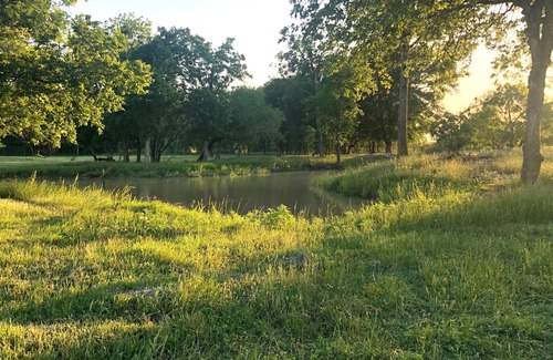Waco RV Rental | 3 Person Tent on Waco Farm C5