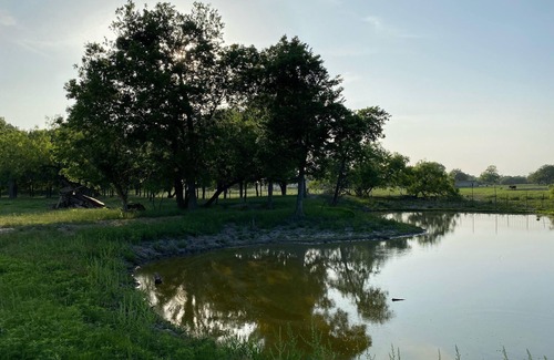 Waco RV Rental | 3 Person Tent on Waco Farm C5