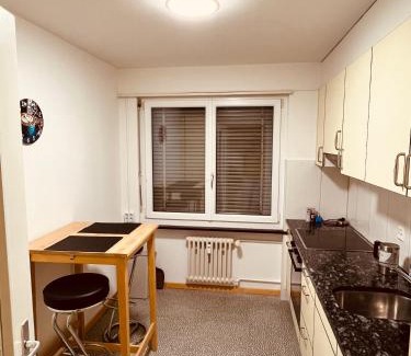 Wynau Apartment | 3-Room Apartment for Business Travelers or Familie, Free WiFi & TV with 100 Countries, DAZN, Sky, Netflix & Disney