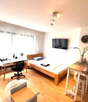 Wiesbaden Apartment | 3-Wiesbaden Studio-Terrasse,WLAN,Parkplatz frei