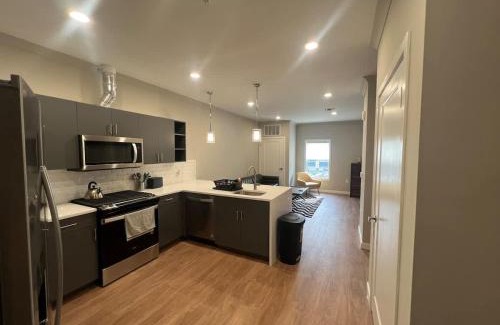 Dunellen Apartment | 315 Brand New 1 Bedroom 1 Bath 1 Full Kit 1 Liv