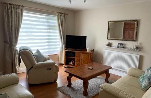 Newport House | 32 Maescurig