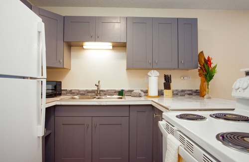 Hilo Condo | 3rd-floor downtown Hilo condo with great location near the bay, W/D, cable, & AC