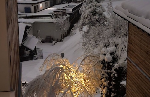 Flims Apartment | 4.5 room flat "MyGrischa" with mountain view