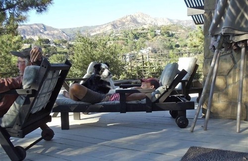 Mission Canyon House | $4,500.00/Month - Nature Lovers Glass House with Unlimited Views!