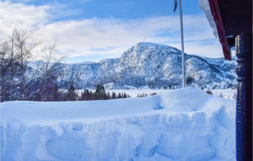 Ljosland House | 4 Bedroom Nice Home In Åseral