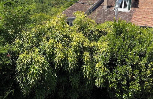 Samois-sur-Seine House | 4 bedrooms house with a breathtaking river view