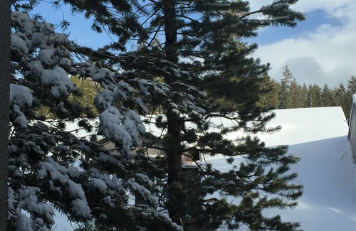 Mammoth Lakes Condo | 4 minute Walk to Canyon Lodge from Luxury Remodeled Ski Condo at Chamonix #83