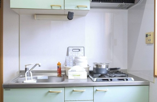 Shinjuku Apartment | 4 minutes walk from HigashiShinjuku Station on th - Swan Lake Inn Shinjuku 501/Shinjuku-ku Tokyo