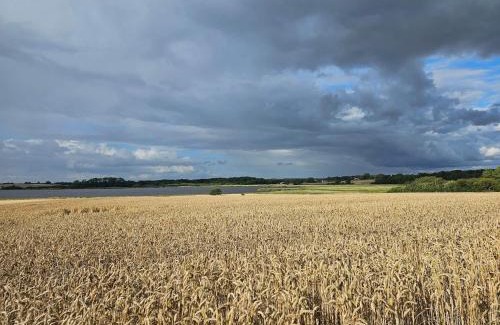 Assens House | 4 person holiday home in Assens