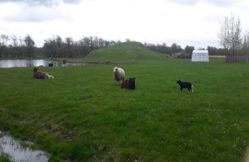 Ansager House | 4 person holiday home in Ansager-By Traum